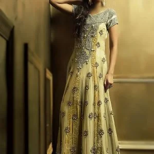 Long anarkali dress, v neckline, cap sleeves, plain churidar pajama, vegas gold