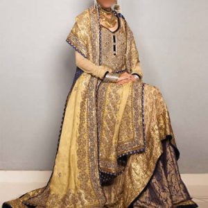 Designer wedding sharara dress for women in light khaki color, sweetheart neck fully embellished bridal shirt with bridal sharara and bridal veils